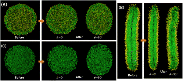 image file: d5cp04439a-f4.tif