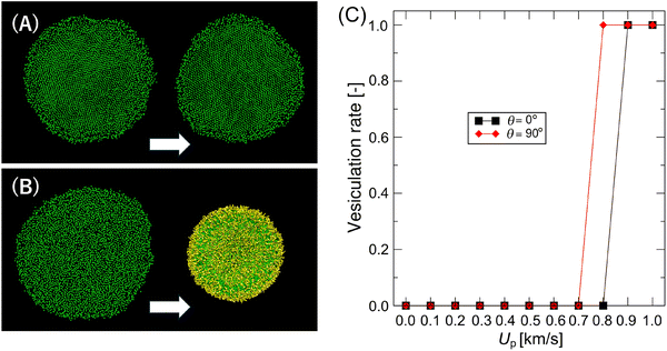 image file: d5cp04439a-f9.tif