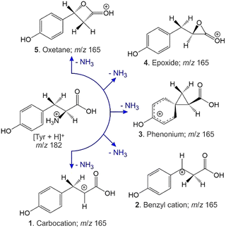 image file: d5cp04446d-f1.tif