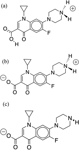 image file: d5cp04597e-f1.tif