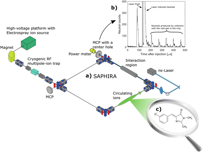 image file: d5cp04796j-f1.tif