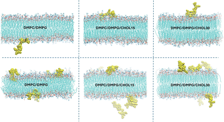image file: d5cp04834f-f3.tif