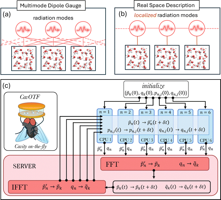 image file: d5cp04879f-f1.tif