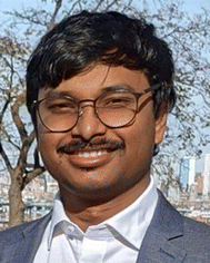 image file: d5cp04879f-p1.tif