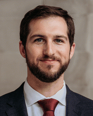 image file: d5cp04957a-p1.tif