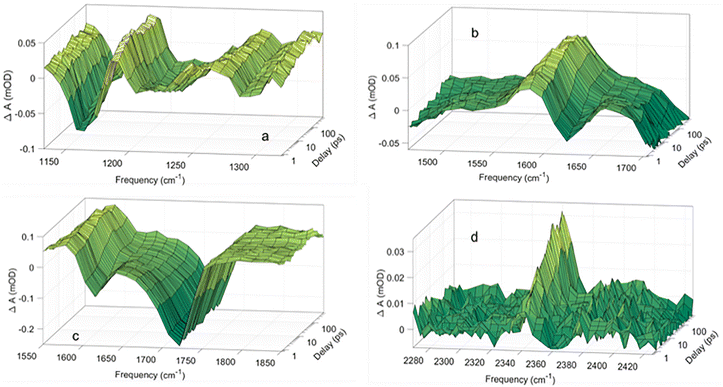 image file: d5cp04995d-f2.tif