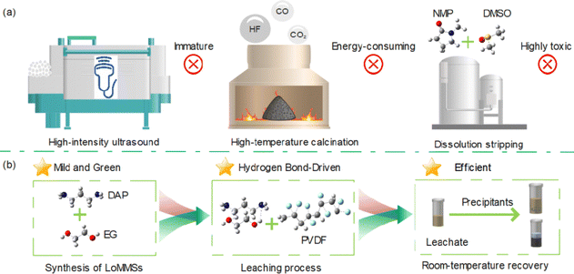 image file: d5cp05042a-f1.tif