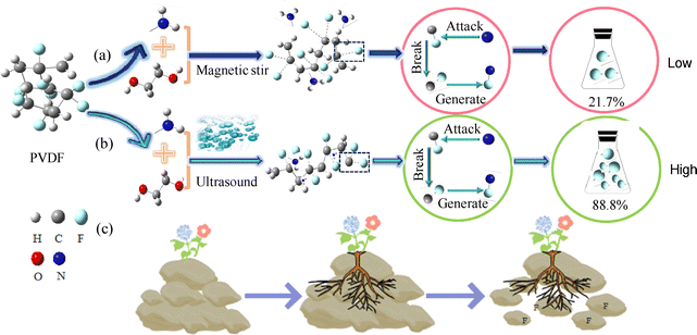 image file: d5cp05042a-f6.tif