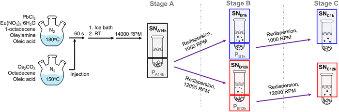 image file: d6cp00181e-s1.tif