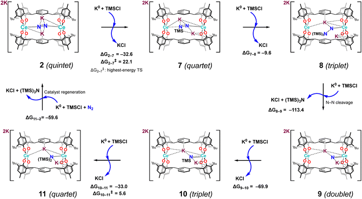 image file: d6cp00343e-s6.tif