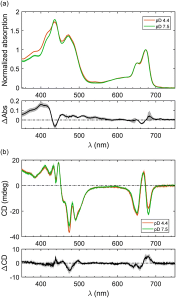 image file: d6cp00501b-f1.tif