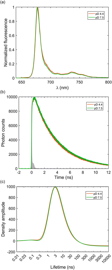 image file: d6cp00501b-f2.tif