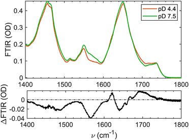 image file: d6cp00501b-f3.tif