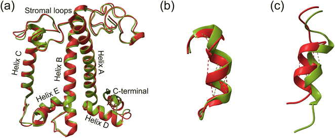 image file: d6cp00501b-f5.tif
