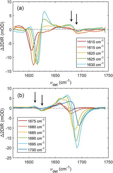 image file: d6cp00501b-f7.tif