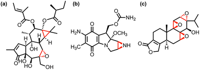 image file: d6cp00519e-f1.tif