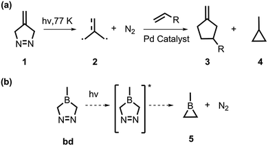 image file: d6cp00519e-s1.tif