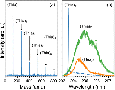 image file: d6cp00544f-f1.tif