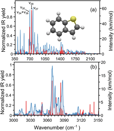 image file: d6cp00544f-f2.tif
