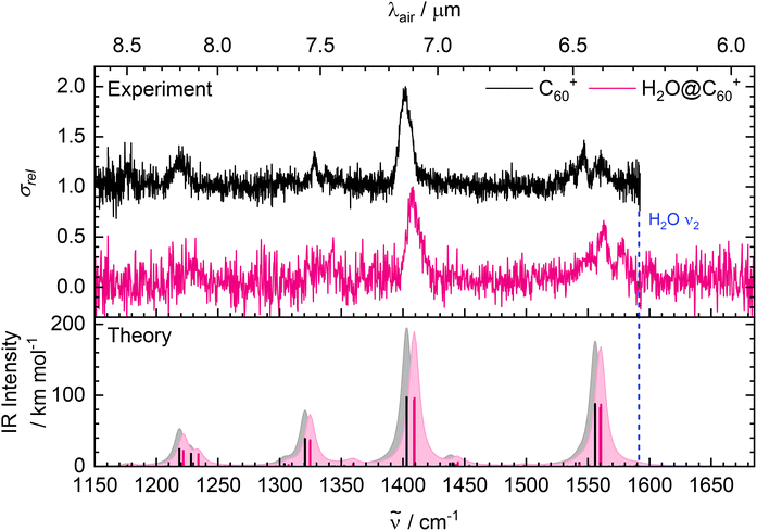 image file: d6cp00593d-f2.tif