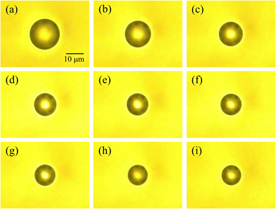 image file: d6cp01016d-f2.tif