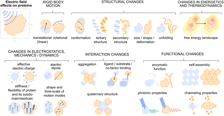image file: d3cs00244f-f1.tif