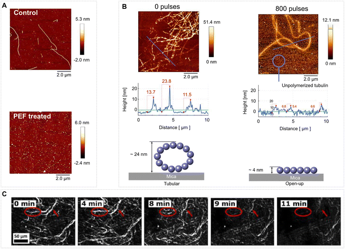 image file: d3cs00244f-f11.tif