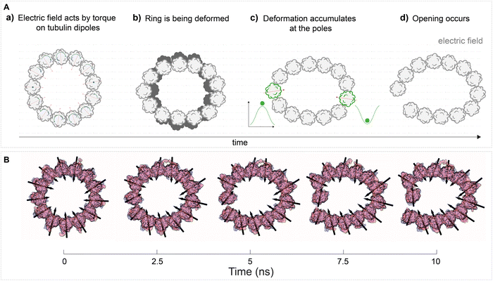 image file: d3cs00244f-f9.tif