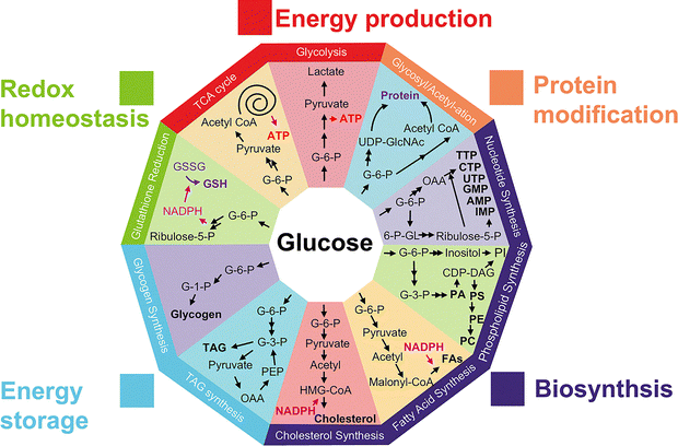 image file: d3cs00795b-f1.tif
