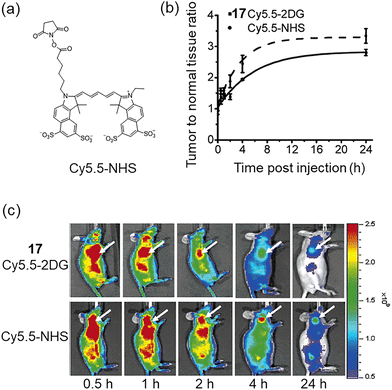 image file: d3cs00795b-f10.tif