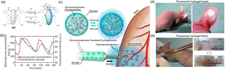 image file: d3cs00795b-f101.tif