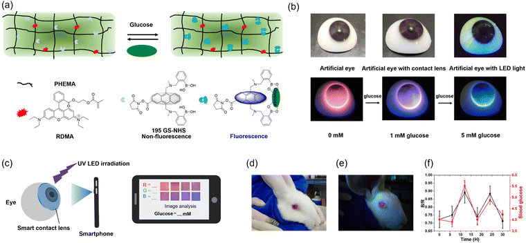 image file: d3cs00795b-f104.tif