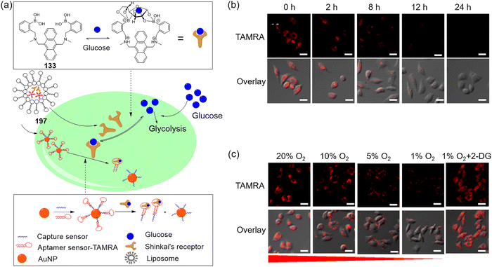 image file: d3cs00795b-f106.tif