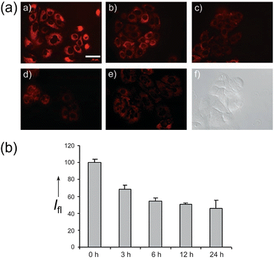 image file: d3cs00795b-f11.tif