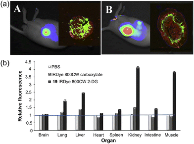 image file: d3cs00795b-f12.tif