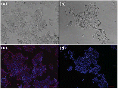 image file: d3cs00795b-f13.tif