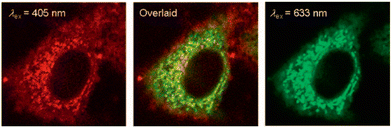 image file: d3cs00795b-f14.tif