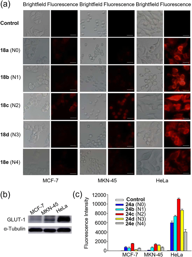 image file: d3cs00795b-f16.tif