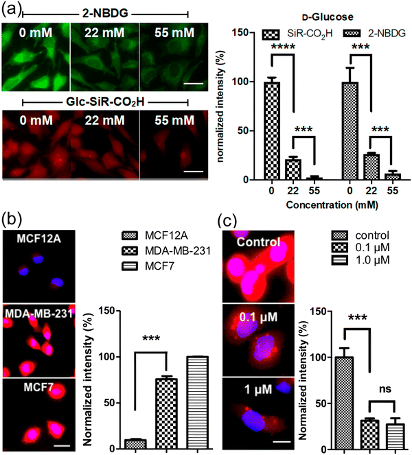 image file: d3cs00795b-f17.tif