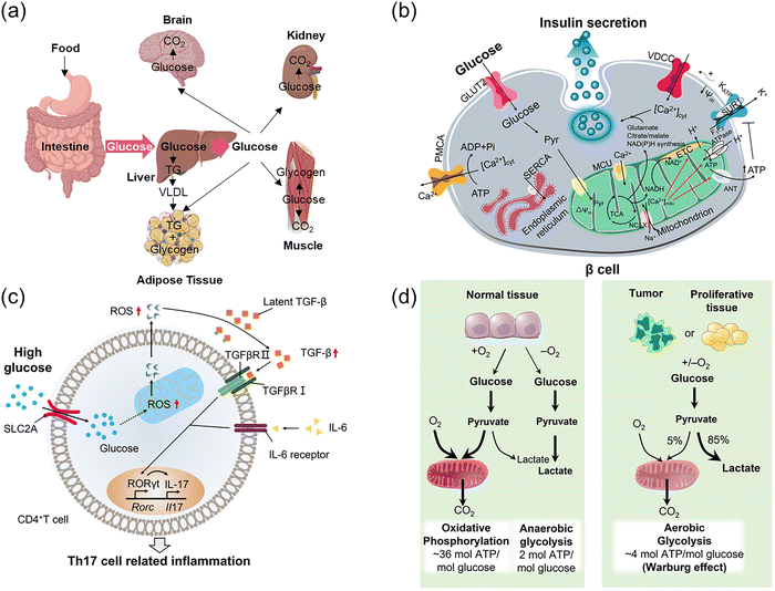 image file: d3cs00795b-f2.tif