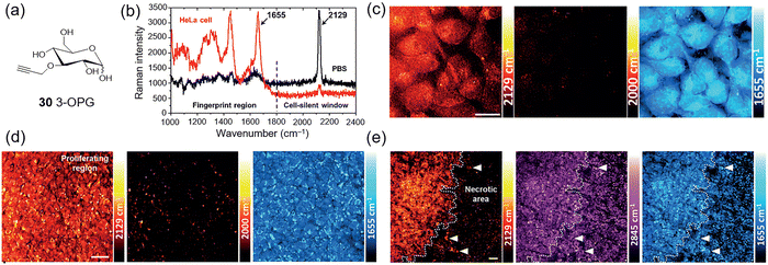image file: d3cs00795b-f21.tif