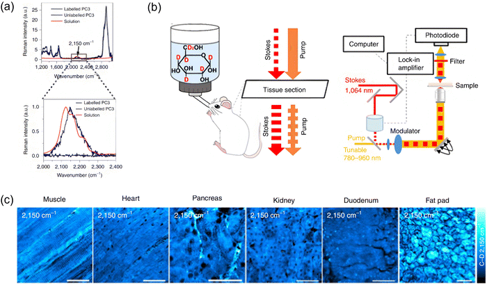 image file: d3cs00795b-f23.tif