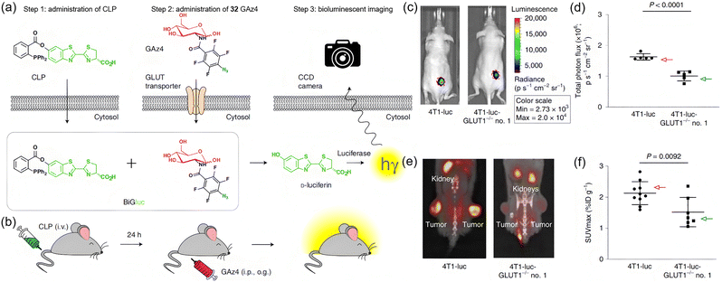 image file: d3cs00795b-f24.tif
