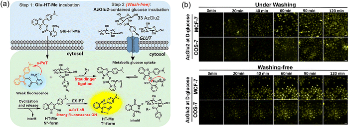 image file: d3cs00795b-f25.tif