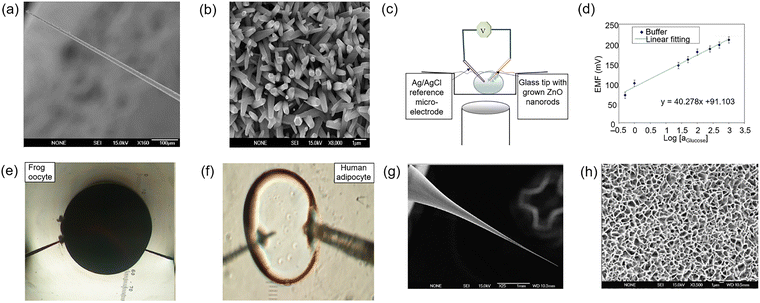 image file: d3cs00795b-f28.tif