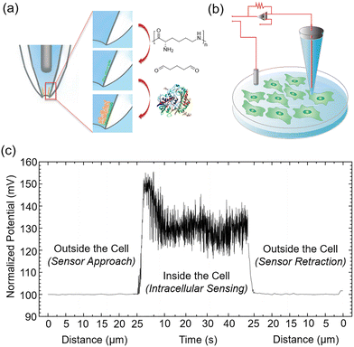 image file: d3cs00795b-f29.tif