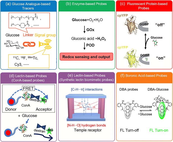 image file: d3cs00795b-f3.tif