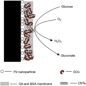 image file: d3cs00795b-f30.tif