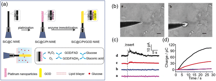 image file: d3cs00795b-f31.tif