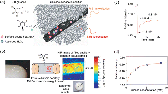 image file: d3cs00795b-f32.tif